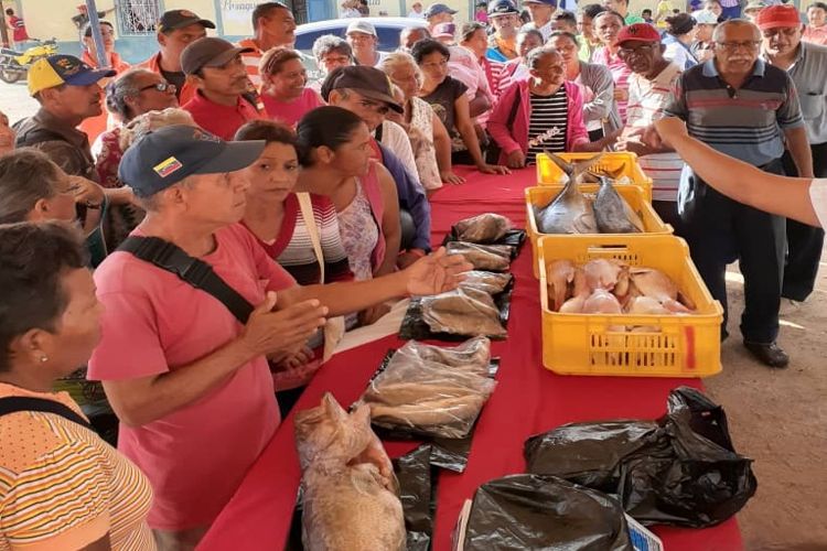 Beneficiadas 30 familias con pescado en el municipio Falcón