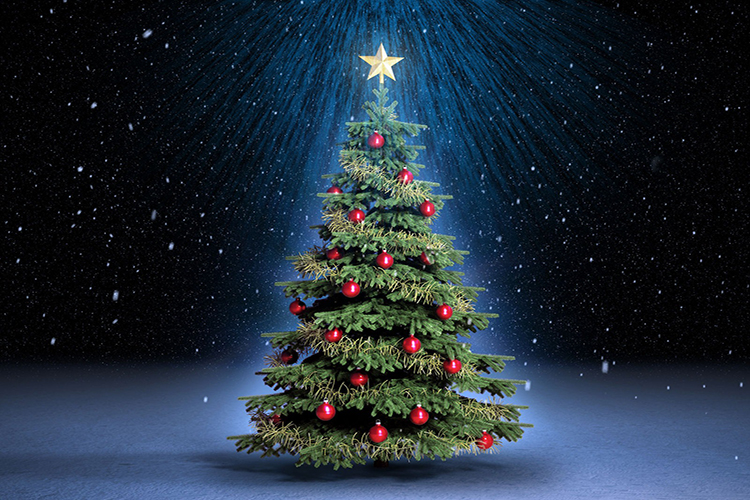 Conoce la leyenda del origen del árbol de Navidad