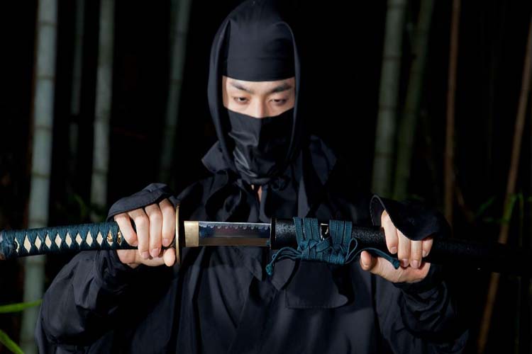 5 de diciembre: Día Mundial del Ninja