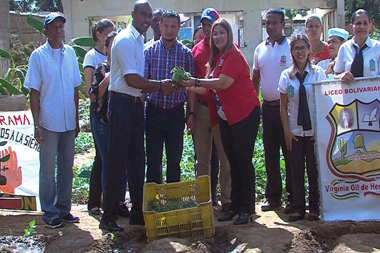 “Todas las manos a la siembra” entrega 5.000 plantas a la Virginia Gil de Hermoso