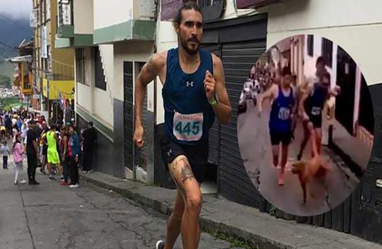 Marca de ropa retira patrocinio a atleta colombiano que pateó a un perro (+Video)