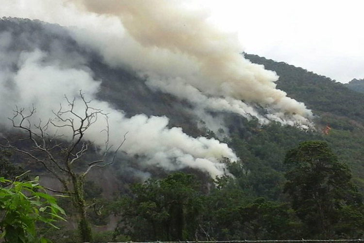 Quince días entre las llamas, continua incendio en Trujillo