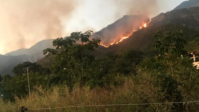 Registran incendio forestal en el Parque Nacional Henri Pittier (+VIDEO)