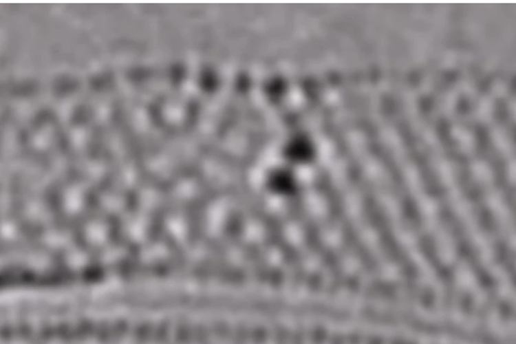 El impresionante video que muestra por primera vez la fusión de moléculas