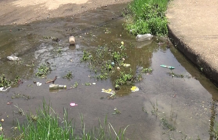 Aguas negras se convierten en la pesadilla de los puntofijenses