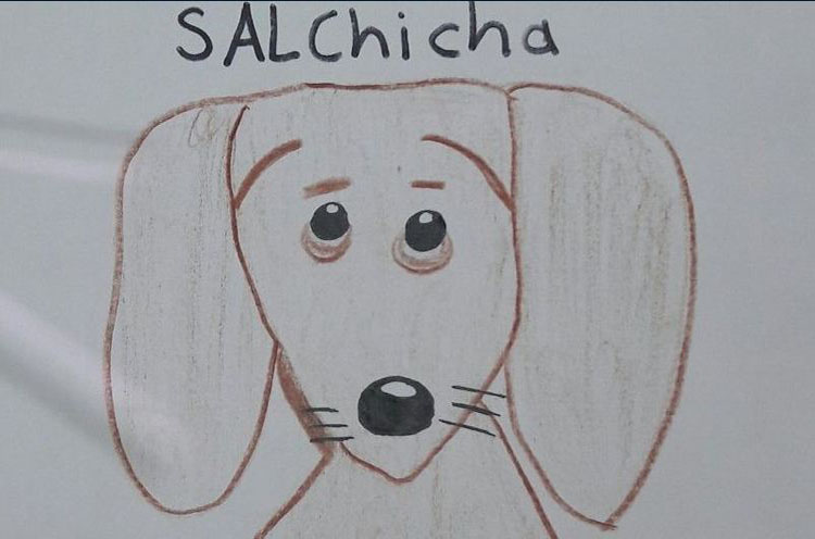 Viral: Niño dibujó a su perrita perdida y aseguró que dará recompensa