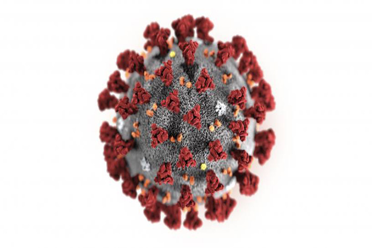 Estudio: El periodo de incubación del coronavirus es de hasta 24 días