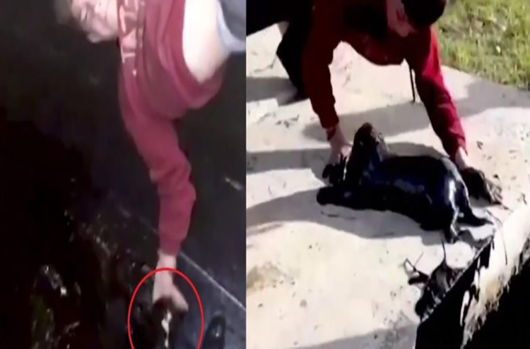 Niño arriesgó su vida para salvar perro que cayó en pozo petrolero (+Vídeo)
