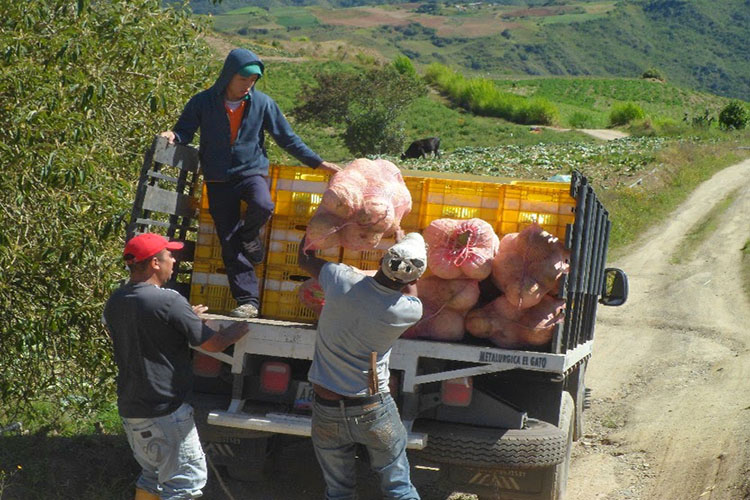 Fedeagro urge suministro de combustible para movilizar hortalizas