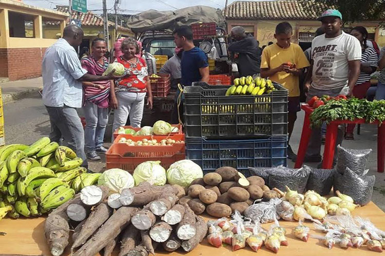 Concefalcón auspicia jornadas de alimentación