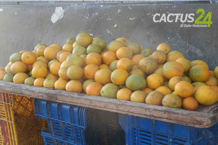 Por Covid-19: Naranjas y limones fueron arrasados por paraguaneros en fruteros y ferias