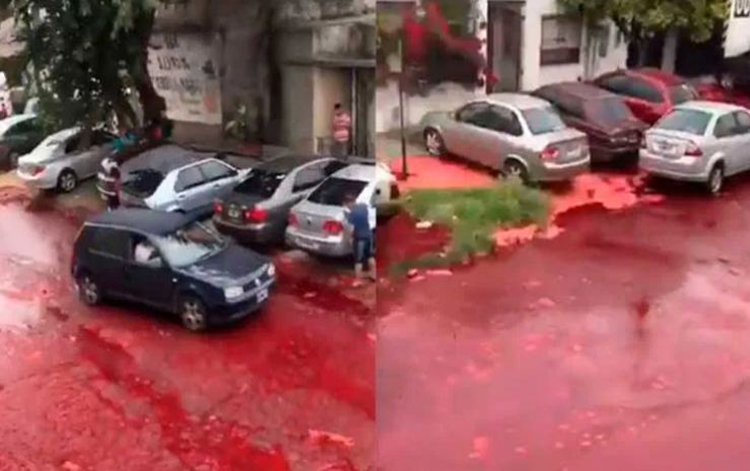 Argentina: 500 mil litros de sangre animal se derramaron por las calles de una localidad