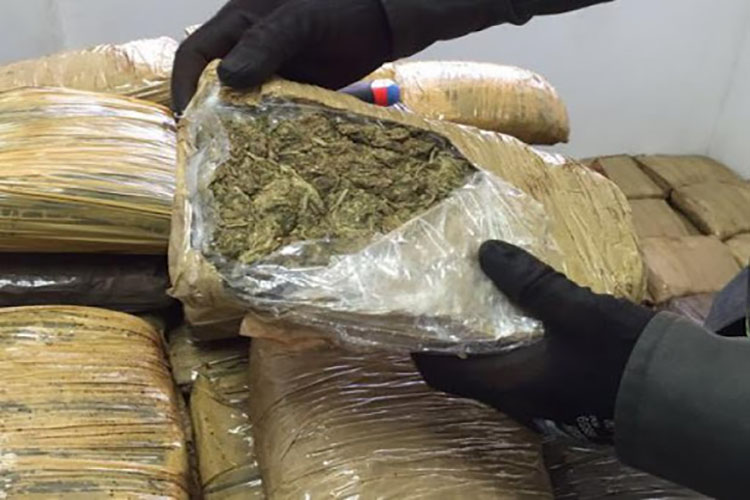 Rumbo a Lara: Arrestan a trujillano con más de 60 panelas de marihuana