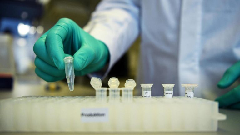 Universidad de Oxford prueba vacuna contra Covid-19 en humanos