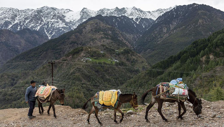 Reaparecen los picos más altos del Himalaya