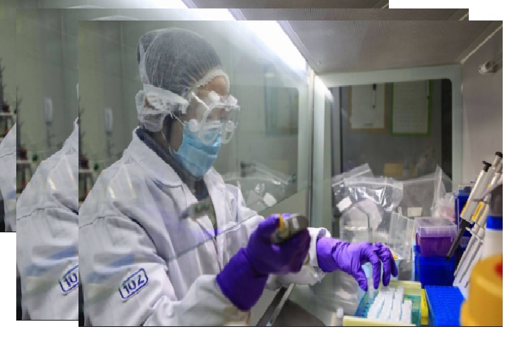 China experimenta vacuna contra el covid-19 en monos y obtiene buenos resultados