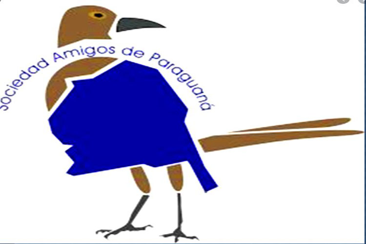 Sociedad Amigos de Paraguaná preocupada ante la expansión del COVID-19 (+Comunicado)