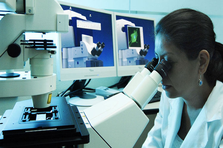 Científicos venezolanos estudian bloqueo de enzima principal del COVID-19