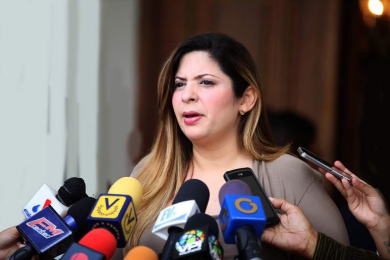 Nora Bracho desestimó señalamientos del presidente de Corpolelec sobre el colapso eléctrico