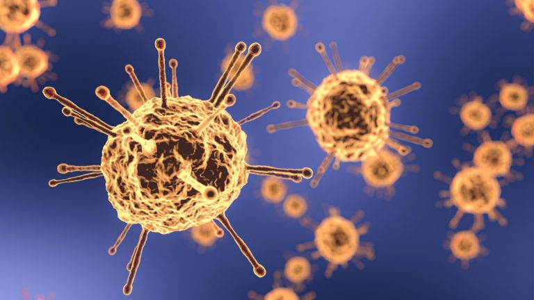 OMS: Coronavirus posiblemente tiene origen animal, no hay señales de manipulación en laboratorios