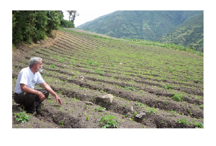 Habitantes de los campos de Trujillo preocupados por sus cosechas ante falta de gasolina