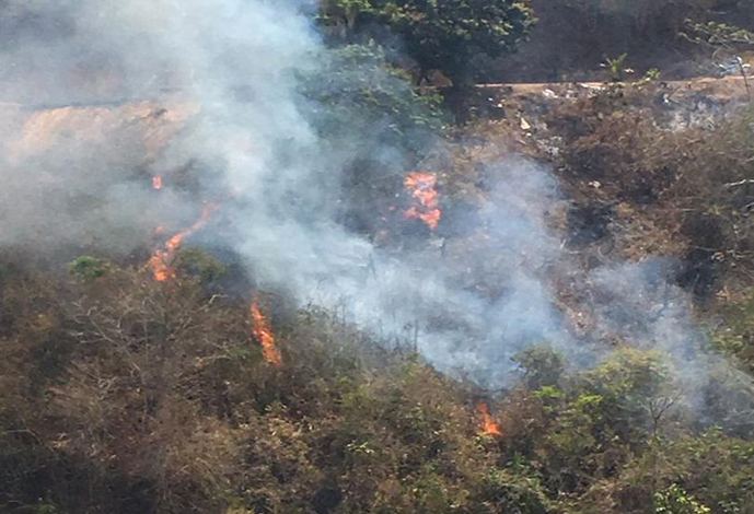 Se registraron más de 20 incendios forestales en la Gran Caracas, según Elías Sayegh