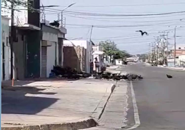 ¡De Terror!: Una «zamurera» se adueña de la calle Comercio de Caja de Agua y esta es la causa (+Video)