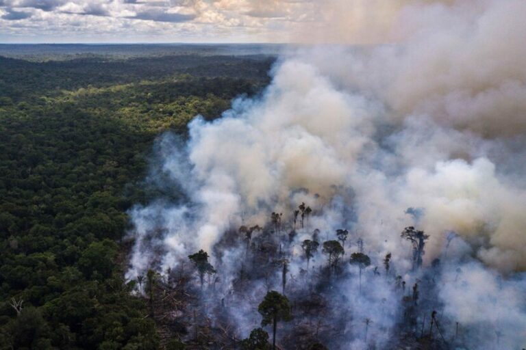La Amazonía brasileña perdió cerca de 8.500 kilómetros cuadrados de selva en 2020