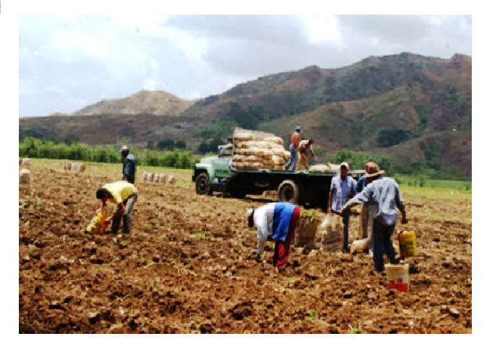 Frente en Defensa de los Productores Agropecuarios: “el campo venezolano sufre la peor crisis de su historia”