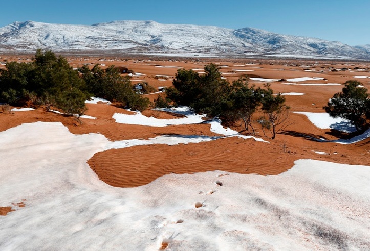 Cayó nevada en el desierto del Sahara (+fotos)