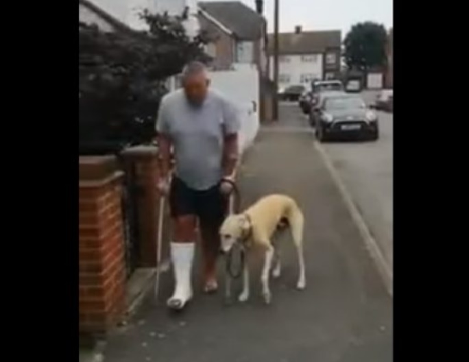 LLeva a su perro «cojo» al veterinario y descubre que solo lo imitaba a él