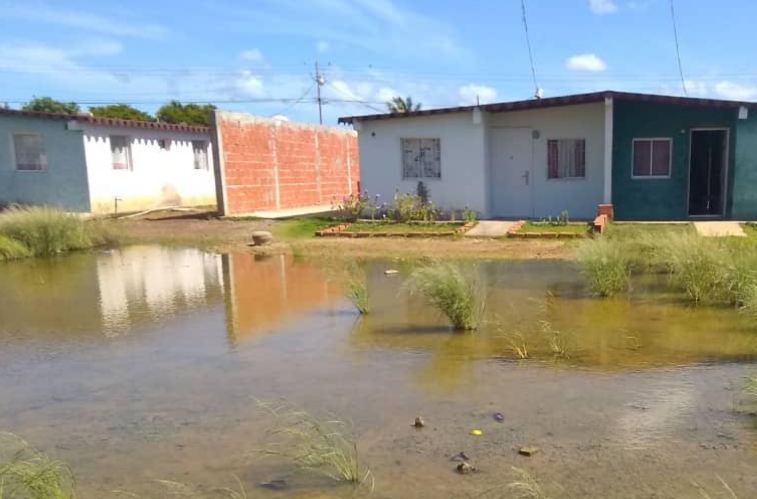 Vecinos de Riveras del Río del municipio Miranda conviven en desborde de aguas servidas