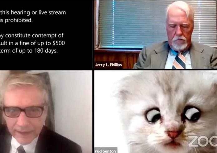 “No soy un gato”: Abogado se conecta con filtro de Zoom frente a juez