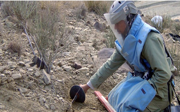 Venezuela pedirá ayuda a la ONU para desactivar minas antipersonales