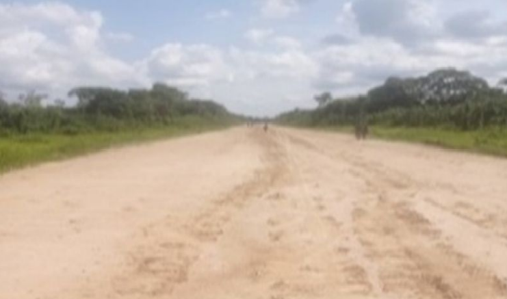 GNB Localiza y destruye una pista clandestina utilizada para el narcotráfico
