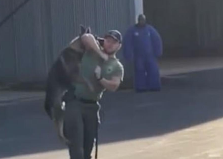 Policía golpea a un perro en EE.UU y genera ola de protestas