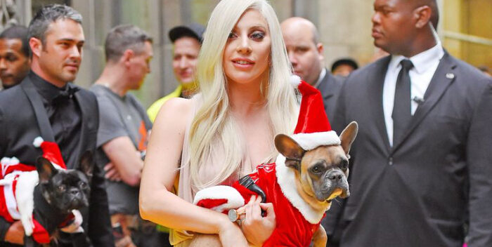 Lady Gaga no ha pagado la recompensa por su perros y esta es la razón