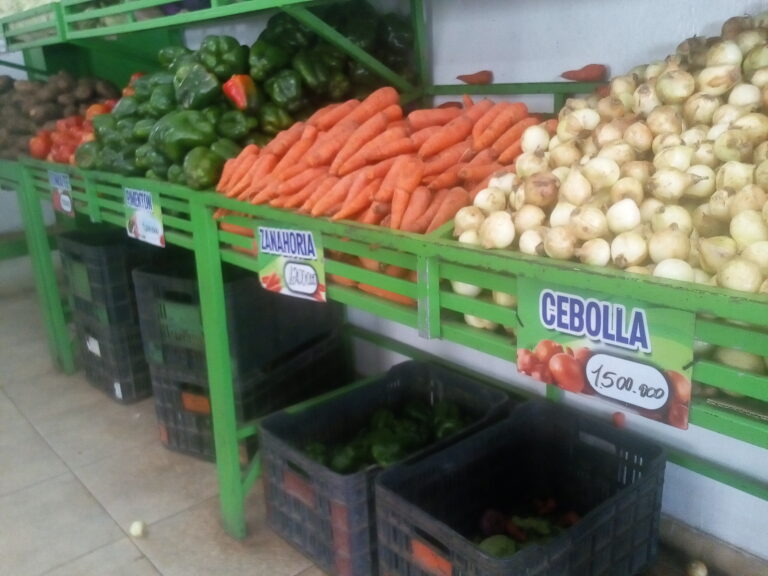 Cesta de hortalizas Punto Fijo bajó su precio y se ubicó en Bs. 10.350.000