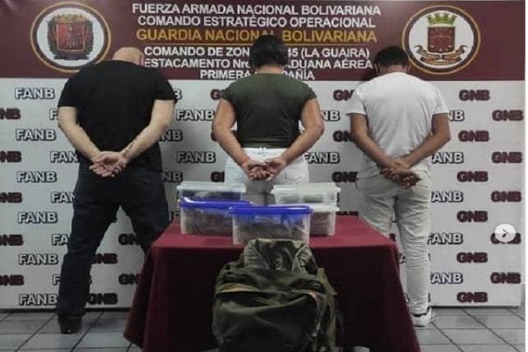 Intentaban viajar a Turquía con 262 ciempiés venenosos
