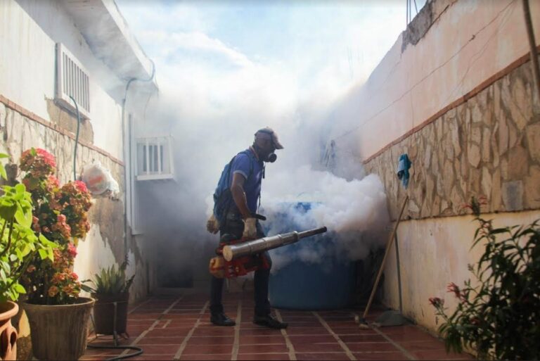 El dengue está controlado en Paraguaná