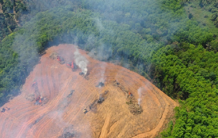 Amazonía perdió 2,3 millones de hectáreas en 2020, su tercer peor registro de los últimos 20 años
