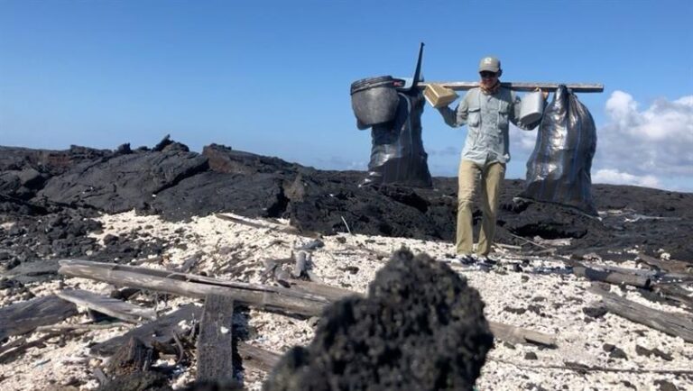 Recolectaron 2,1 toneladas de basura en el archipiélago de Galápagos