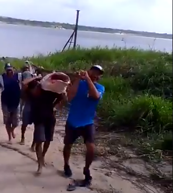 En el río Orinoco pescaron enorme bagre dorado (+Vídeo)