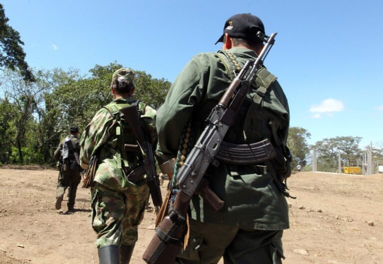 FANB y disidentes de las FARC entran «tregua», según Fundaredes