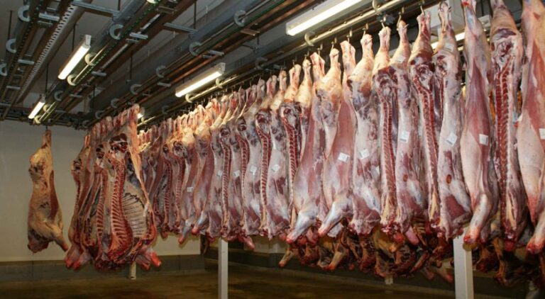 Argentina cierra por 30 días las exportaciones de carne para frenar inflación