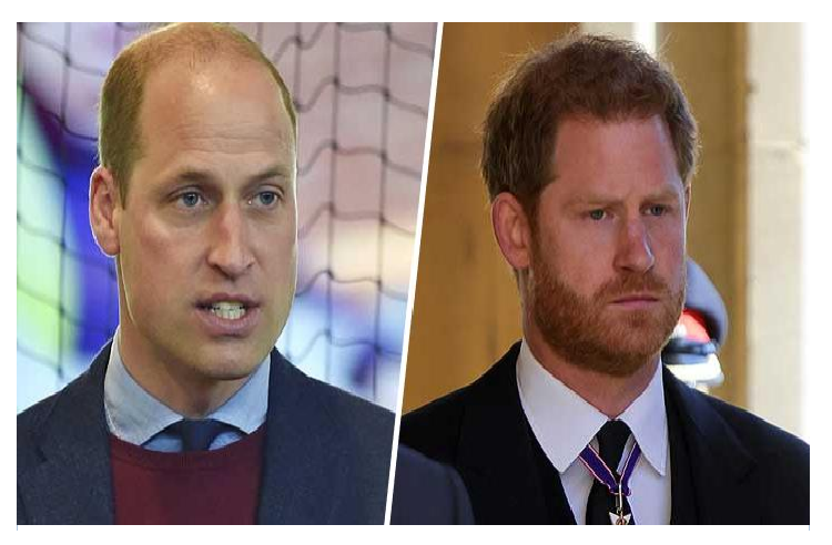 William y Harry criticaron duramente a la BBC tras conocerse que su madre fue engañada para aceptar entrevista de 1995