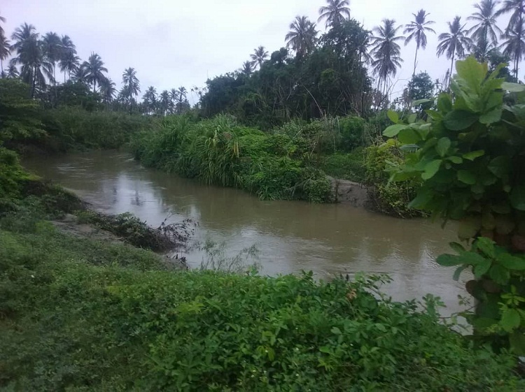 Turbiedad del río Aroa afecta suministro de agua en Silva