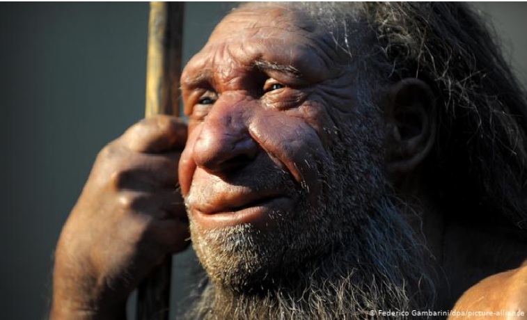 Nuestra huella genética neandertal influye en el sueño, el humor… y en cómo nos afecta la covid