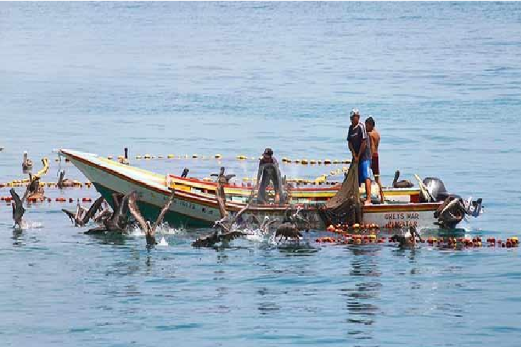 EFE: El pescador Carlos Hernandez, esperanza de venezolanos en Trinidad y Tobago