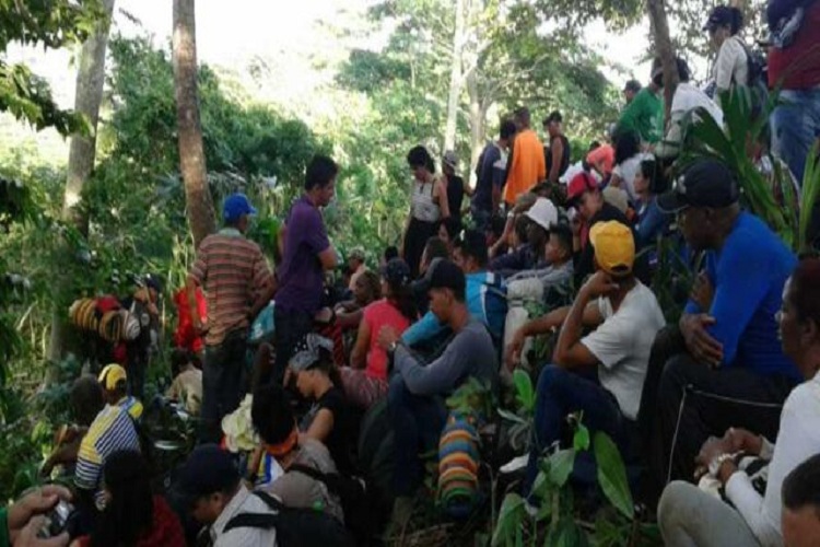 VDA: El Tapón del Darién, una peligrosa ruta para venezolanos hacia EEUU